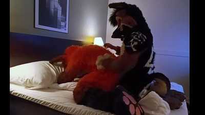 Fox and a hound finish it