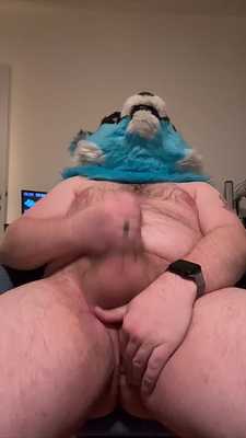 Pawing the evening away