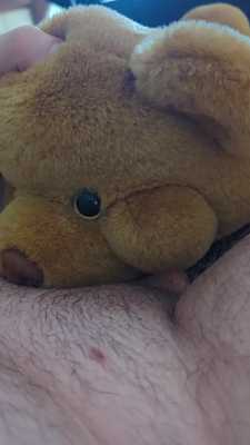 New bear eagerly deepthroating me