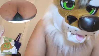 Yet another Vir Humpday Vid 🦊