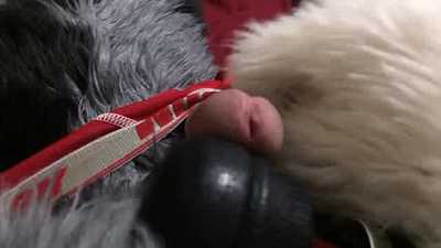 Cumming in Jockstrap