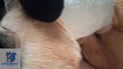 Stuffed Bambi sucks me and i response with assfuck and face cum