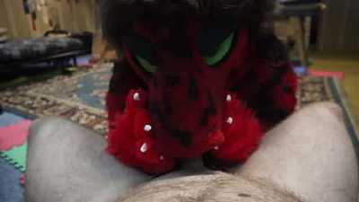 POV Grivik Paws you Off