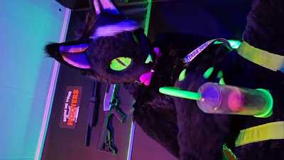 Kitty doin kitty things