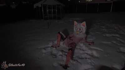 ShakkiFox playing in the snow