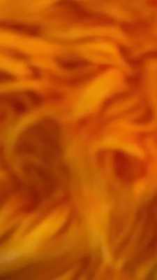 Just being a good fox