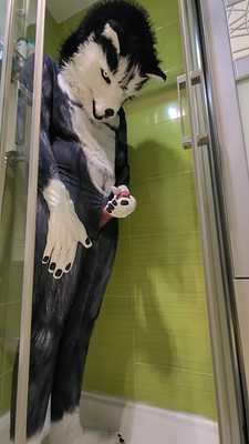 A bad wolf has a quick fap 💦🍆🐺