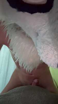 Marble fox cums 3 times humping his pillow