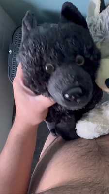 πΊ NightWolf And Bluey Husky Plushie Face Paint  πΊ