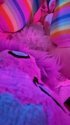 Nova getting teased by two furries at NYFB