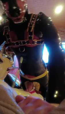 Rubber dogs breeding