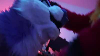 Let's feed this muzzle