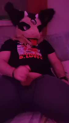 horny goat alone at night