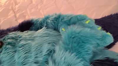 New Handpaws Funtime