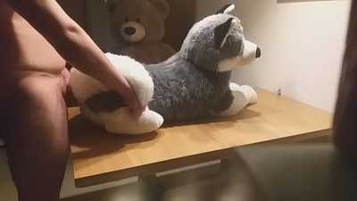 Fun with my husky after work