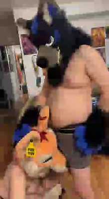 Fox toy loves the smell of a big bad Wolf 😜