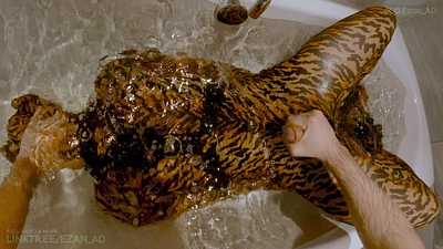 Conditioning the Struggle (PREVIEW)