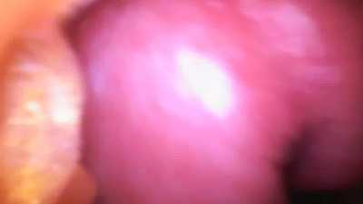 Filling up another toy - Inside view